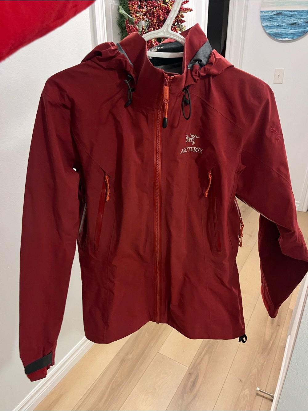 Arc'teryx (RETAIL $1,200+) Women's GORTEX PRO BETA SL